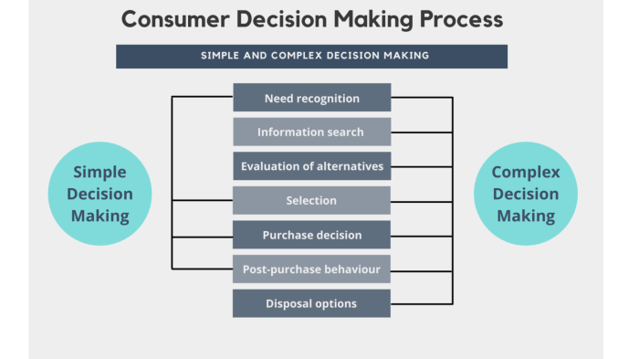 Consumer Decision Making Process – Introduction to Consumer Behaviour