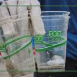 How to spot greenwashing [Infographic] - Azure Kingfisher